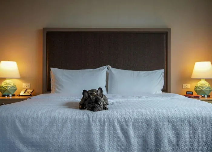 Homewood Suites By Hilton Chicago West Loop Fulton Mkt Area